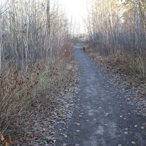 Meet your Posher, Carl